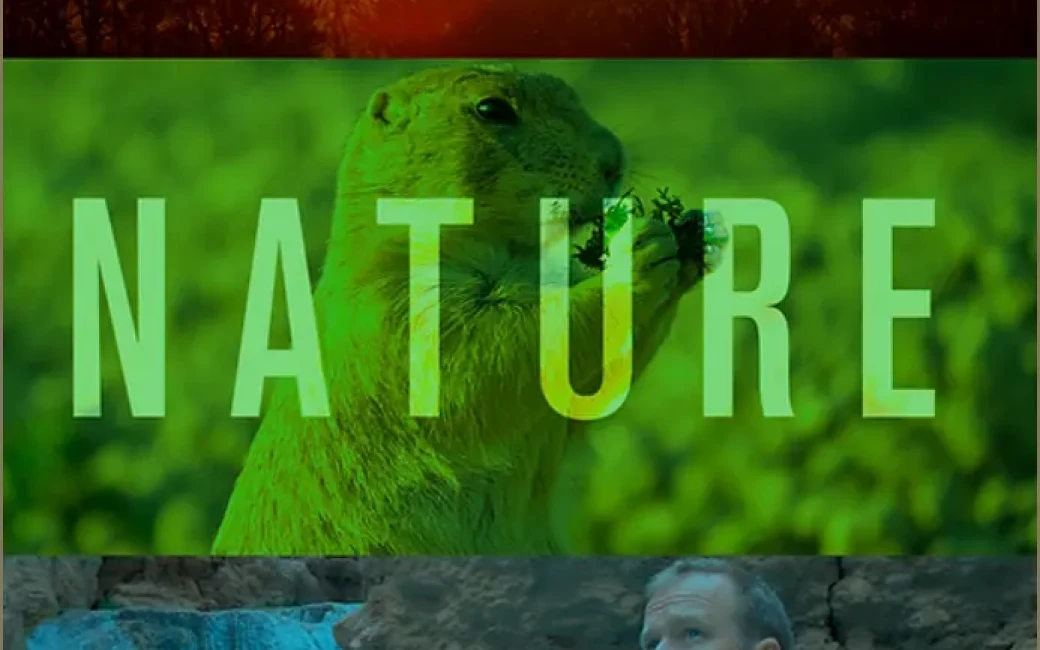 Das Filmplakat des Films, auf dem Bilder aus der Natur zu sehen sind.