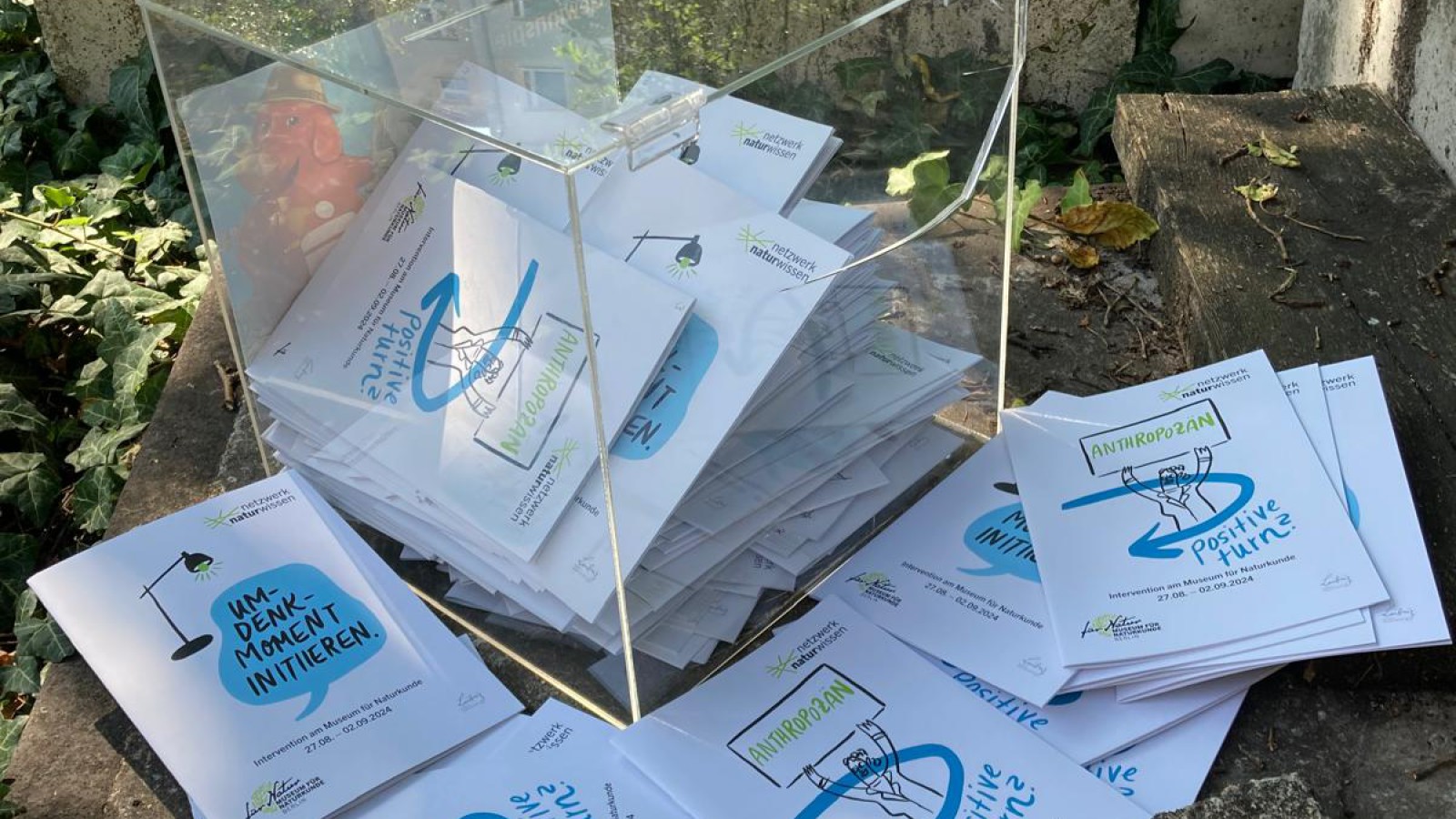 Durchsichtige Box mit Umfragen gefüllt. Ein paar Umfragen liegen noch vor der Box.