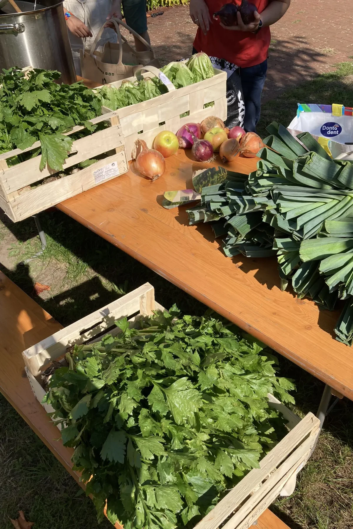 Bildergalerie vom gesammelten Essen, der Zubereitung und dem gemeinsamen Verzehr